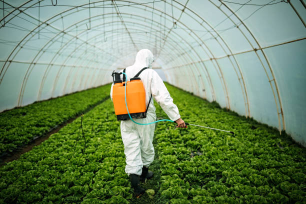 Best Pest Control Treatment  in Tellico Village, TN