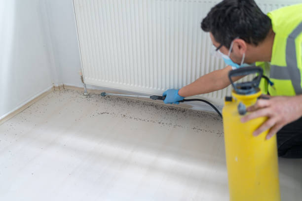 Best Affordable Pest Control Services  in Tellico Village, TN